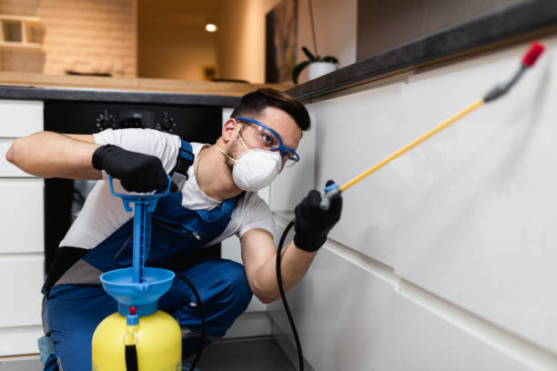 Best Termite Control Services  in Spruce Pine, NC