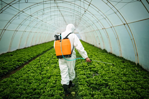 Best Pest Removal Services  in Spruce Pine, NC