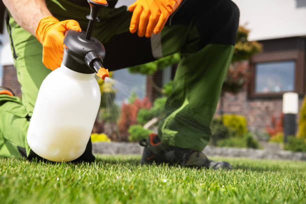 Reliable Spruce Pine, NC Pest Control Solutions