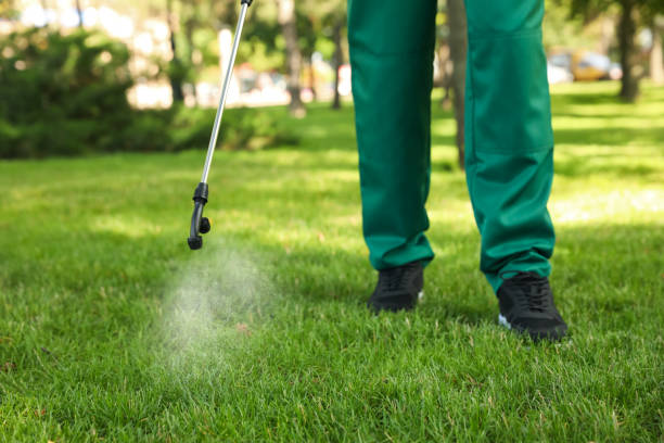 Best Insect Control  in Spruce Pine, NC