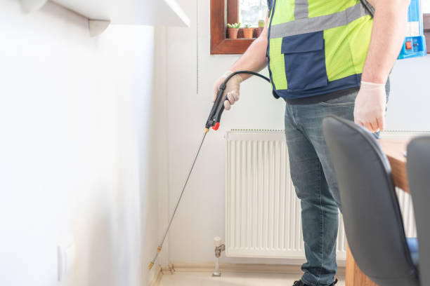 Best Best Pest Control Companies  in Spruce Pine, NC