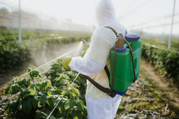 Pest Control Cost in Spruce Pine, NC